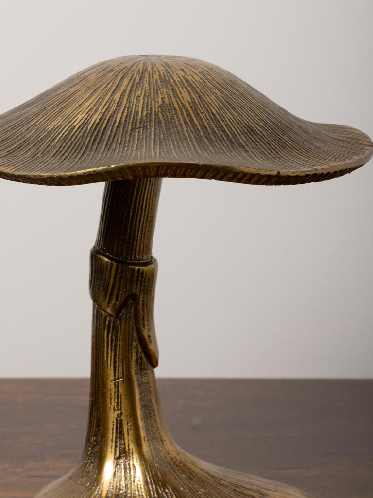 Golden mushroom - 5