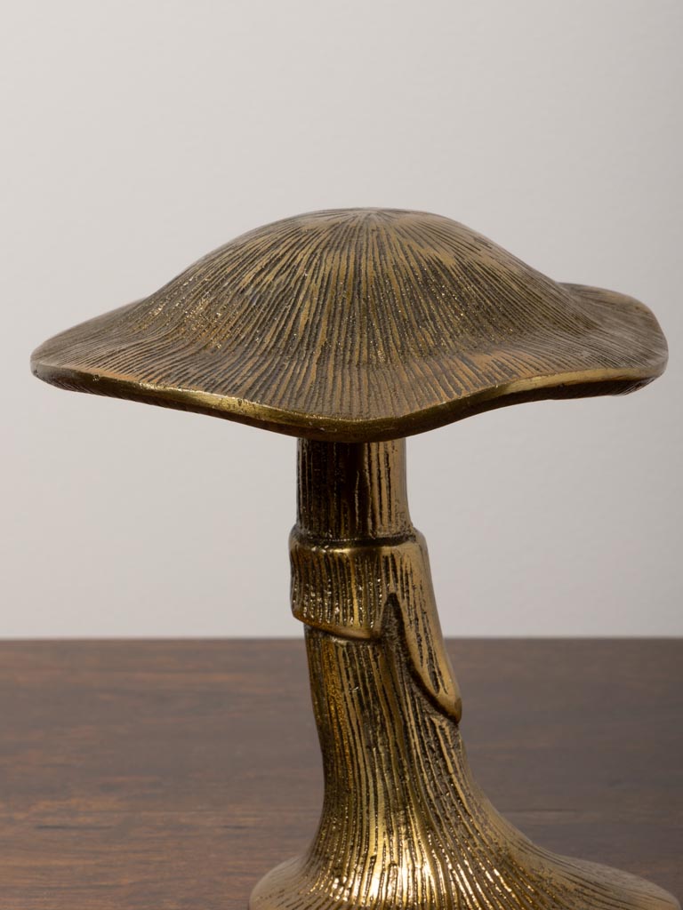 Golden mushroom - 4