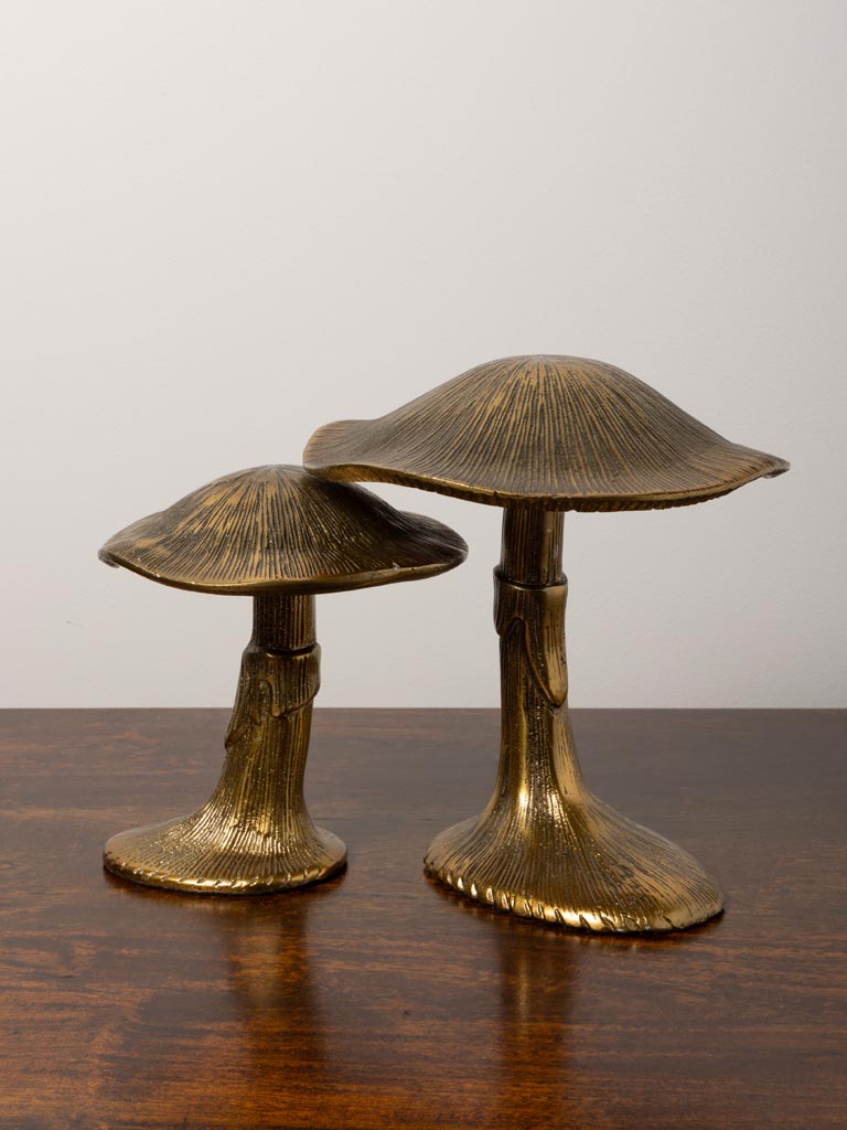 Golden mushroom - 6