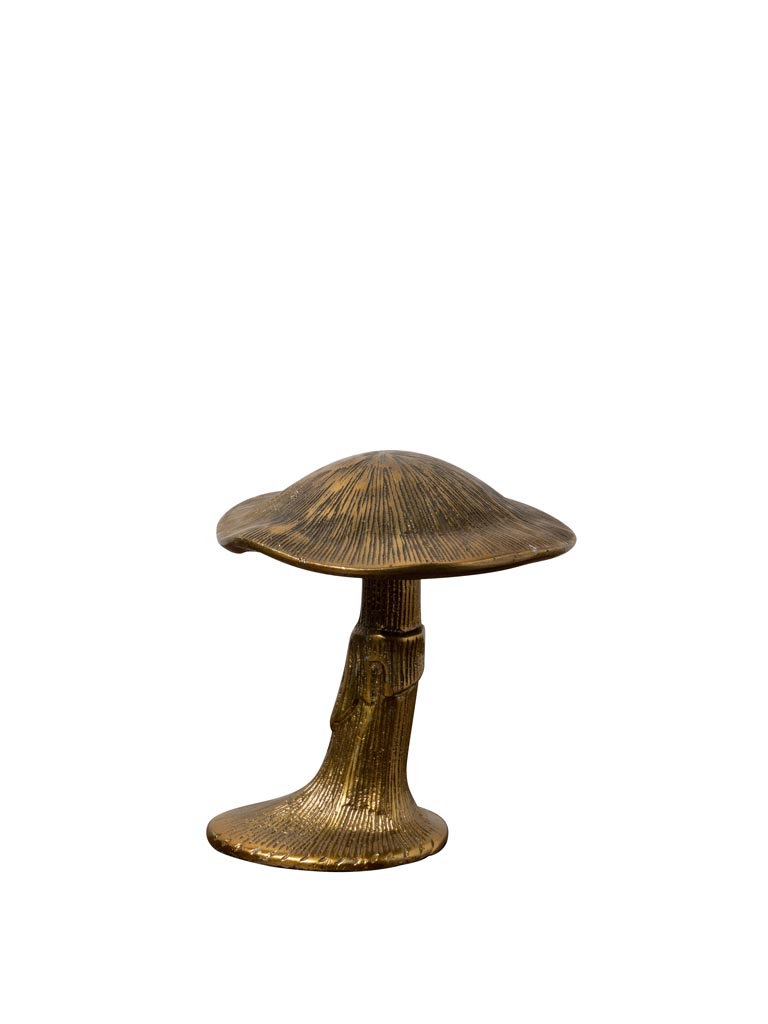 Small golden mushroom - 2