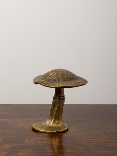 Small golden mushroom