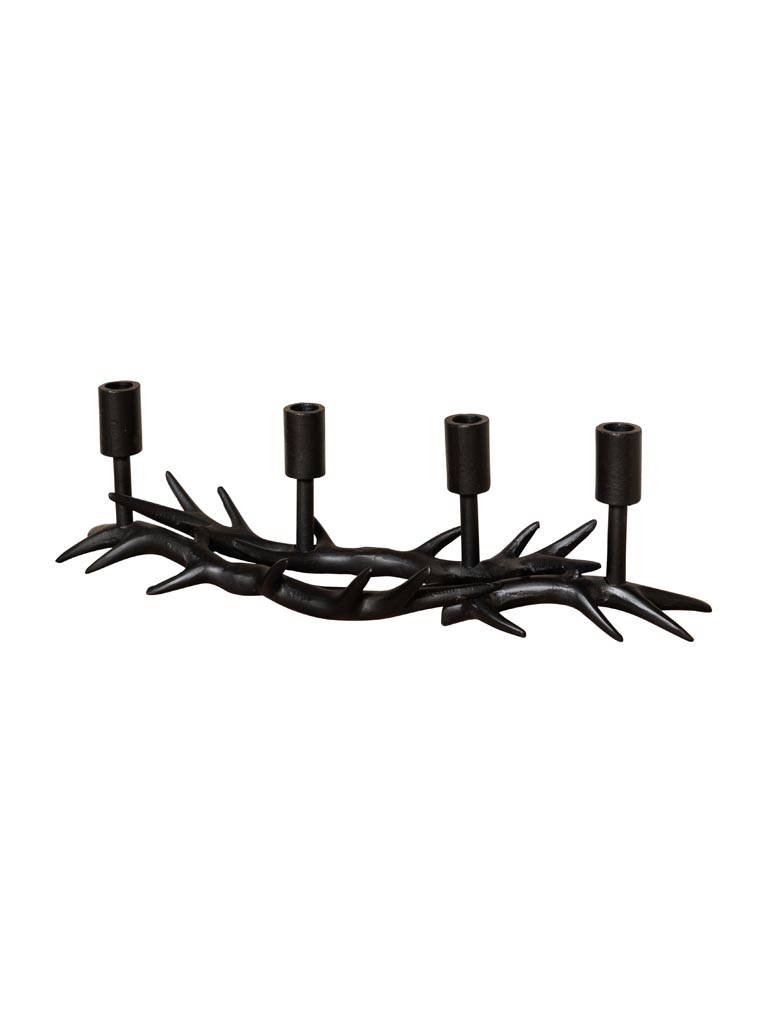  Candlabrum deer antlers - 2
