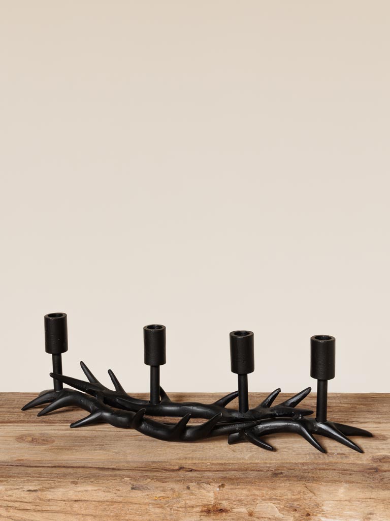  Candlabrum deer antlers - 3