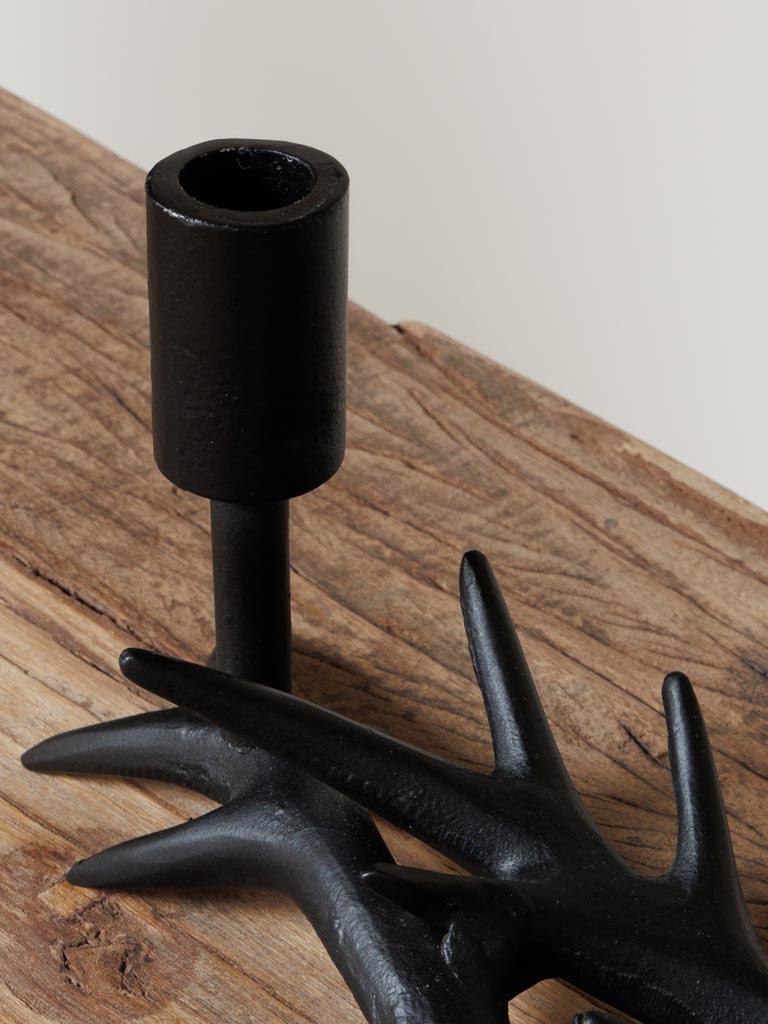  Candlabrum deer antlers - 4