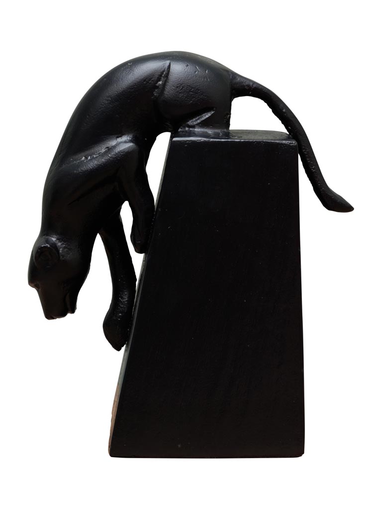 Panthère sur base Shadow - 2