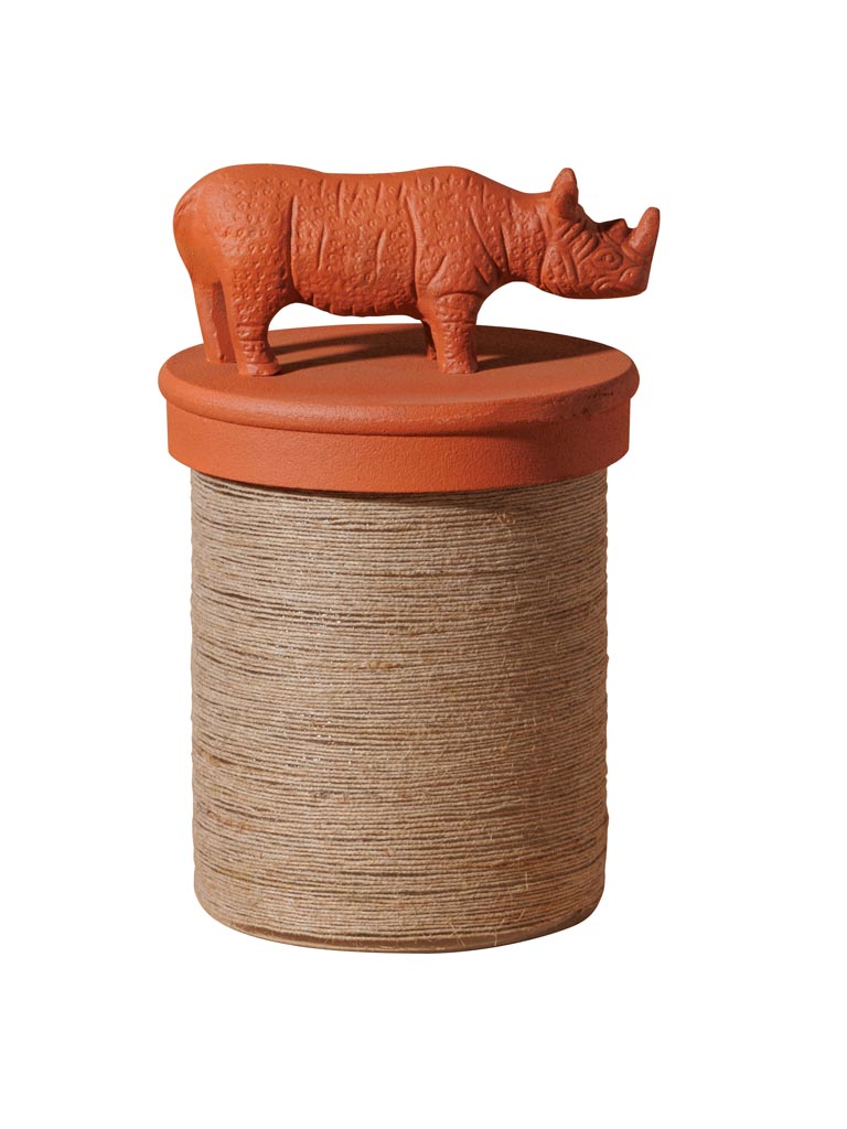 Rhinoceros box - 2