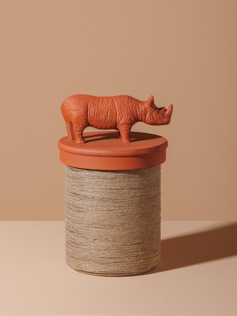 Rhinoceros box - 1