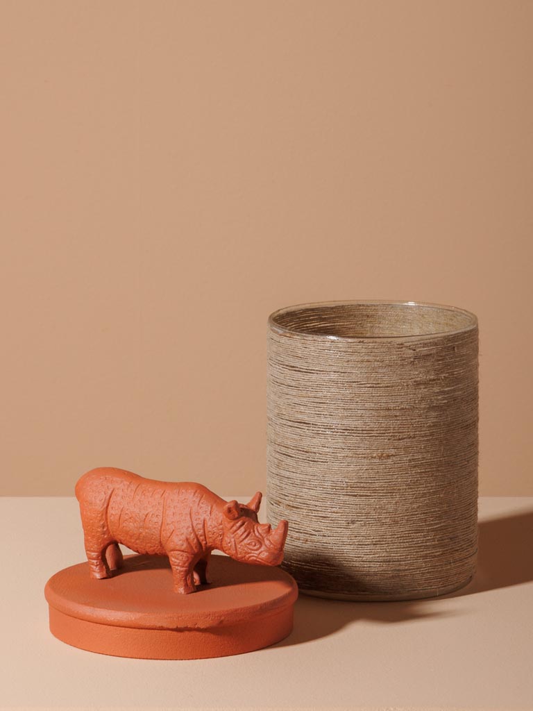 Rhinoceros box - 3