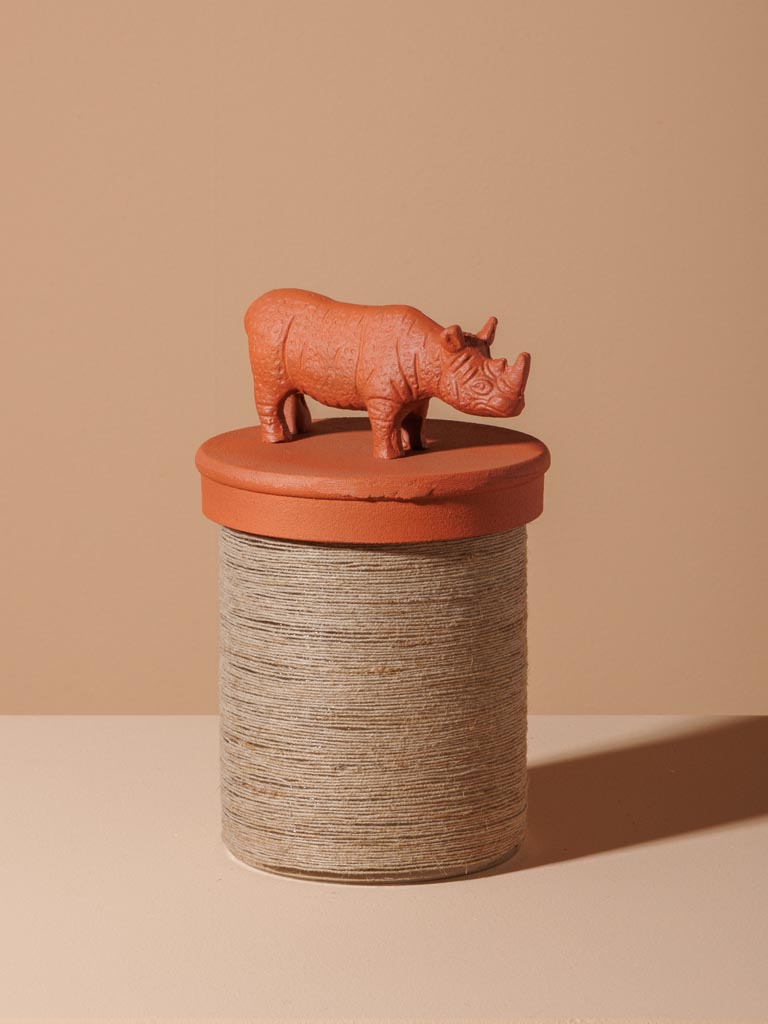 Rhinoceros box - 5