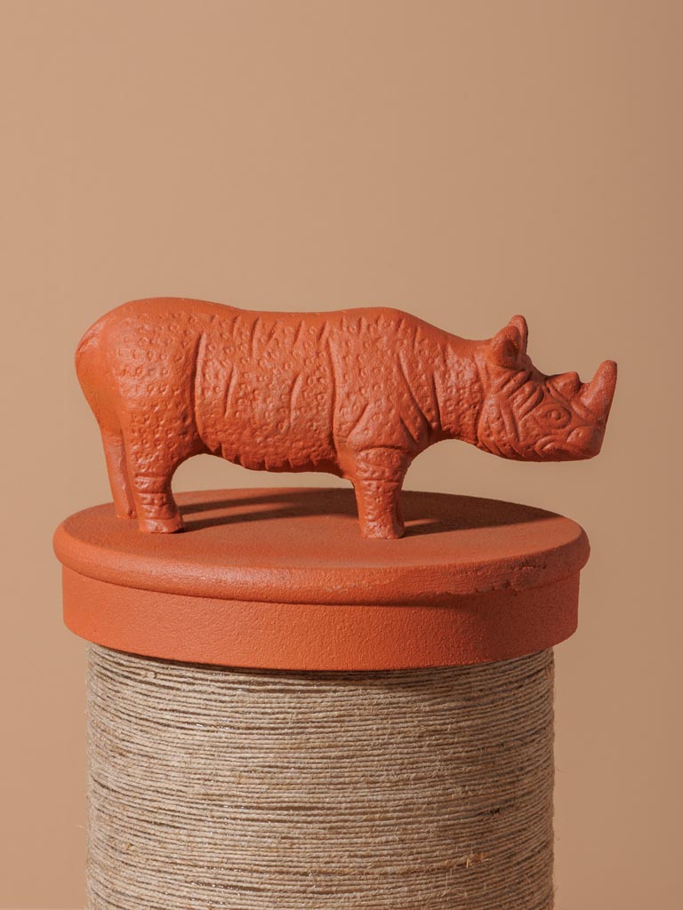 Rhinoceros box - 4