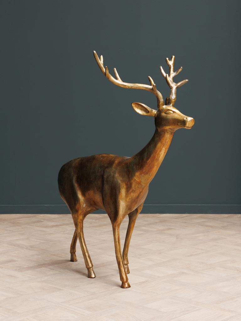 Golden deer head-up - 3