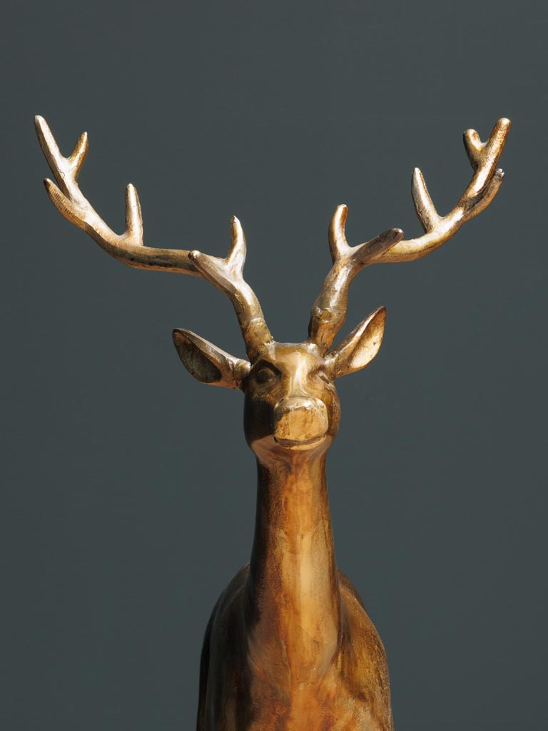 Golden deer head-up - 4