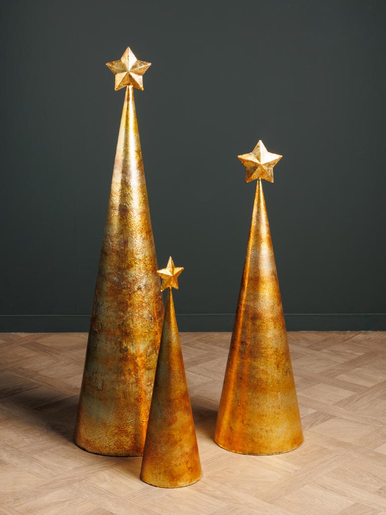 Moyen sapin doré Virgo - 4