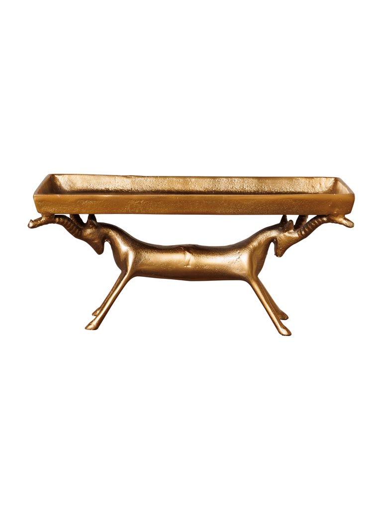 Plateau cerfs Hercule - 2