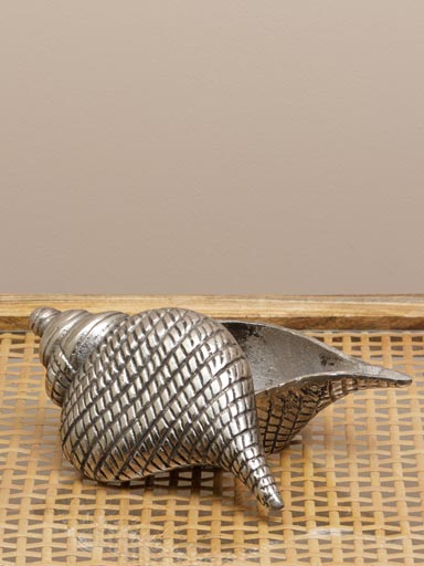 Boîte coquillage