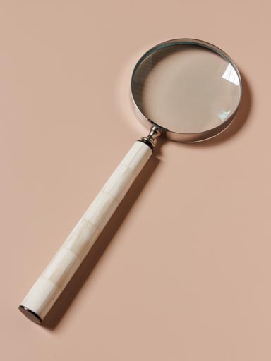 Magnifier with long handle