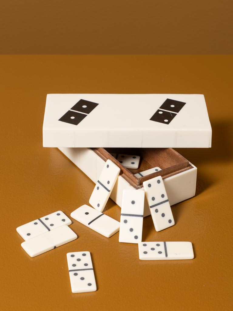 Boîte dominos blancs - 4