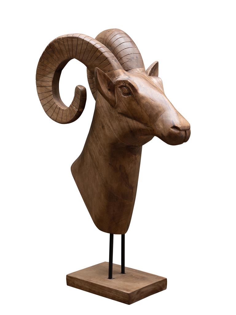 Large ram head in natural mango wood - 3