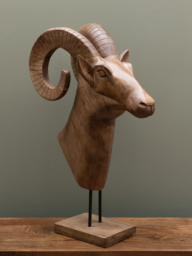 Large ram head in natural mango wood - 1