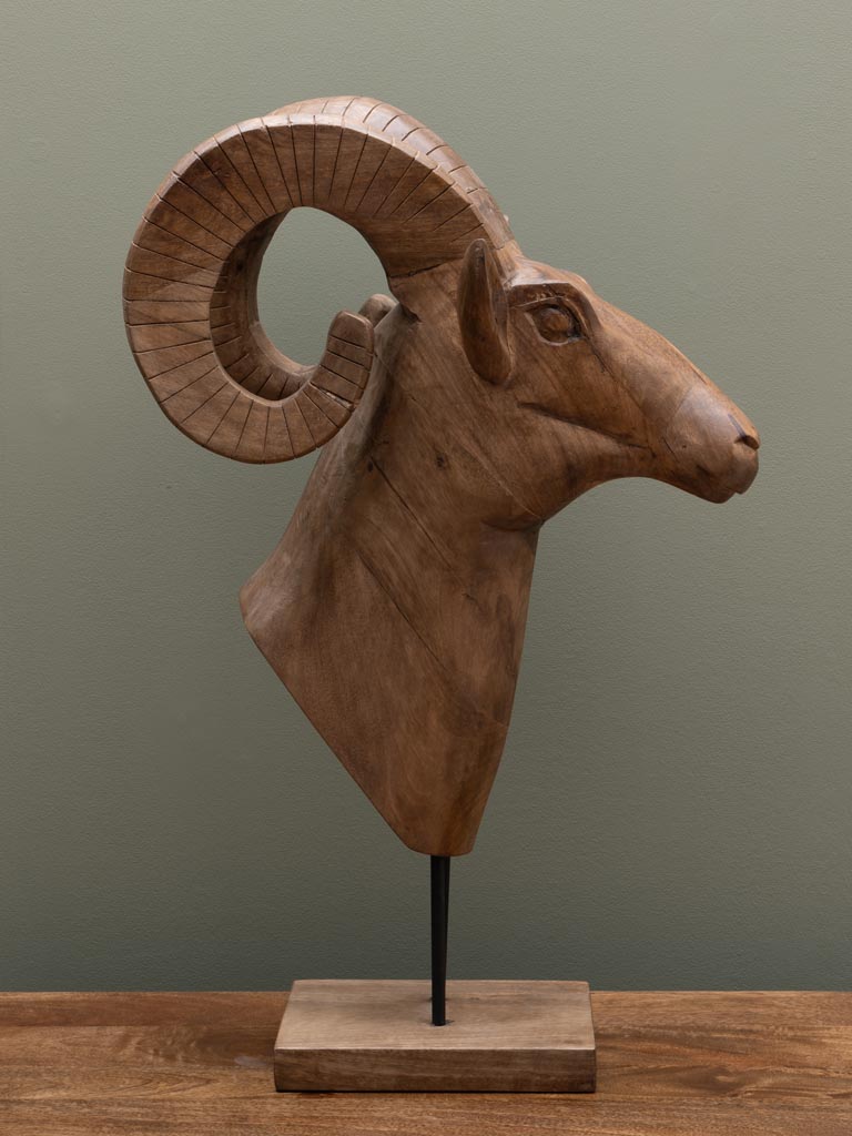 Large ram head in natural mango wood - 4