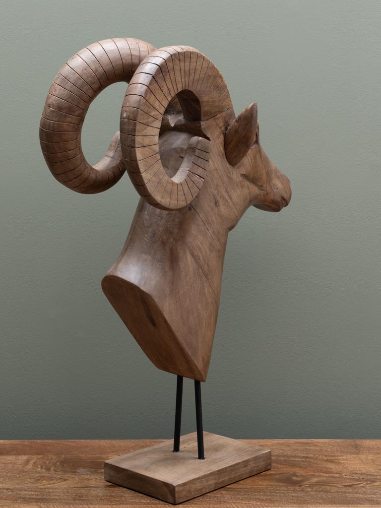 Large ram head in natural mango wood - 5