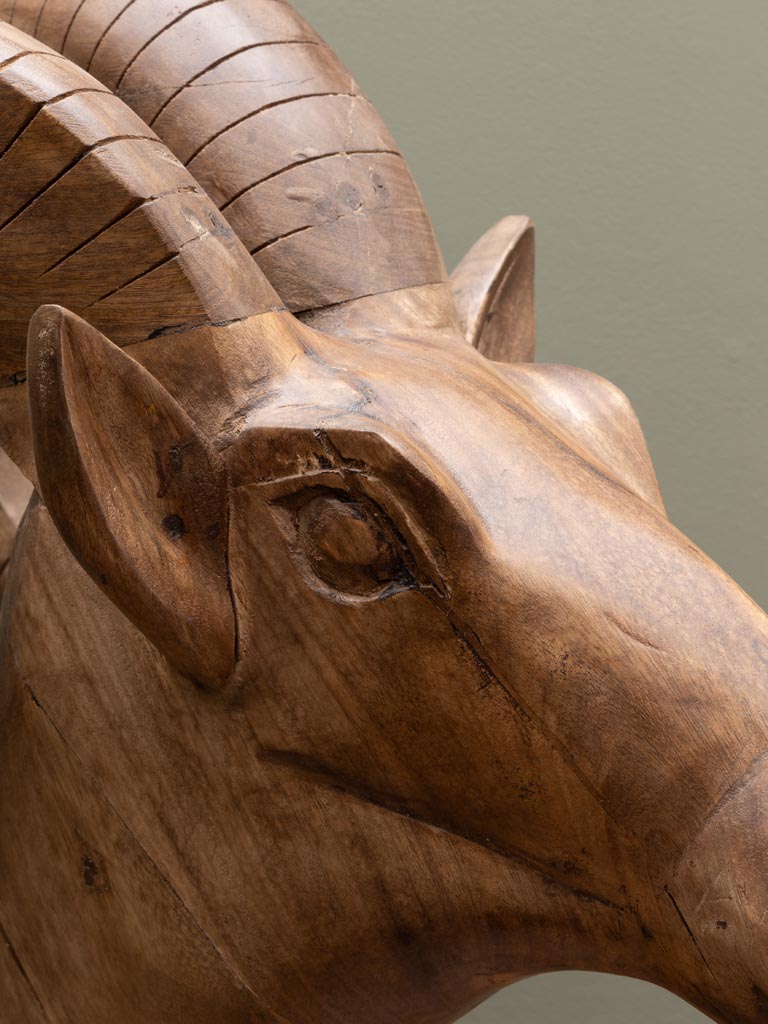 Large ram head in natural mango wood - 2