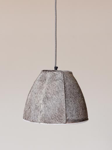 Suspension Aubrac
