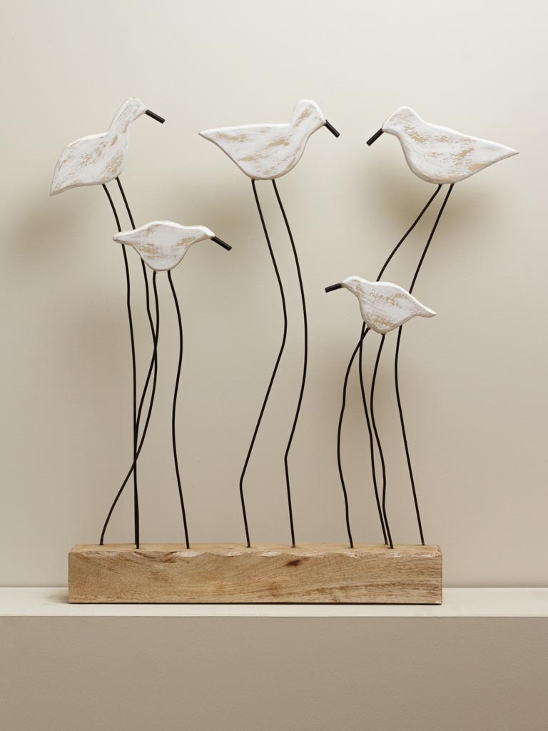 Family of lofty birds - 1