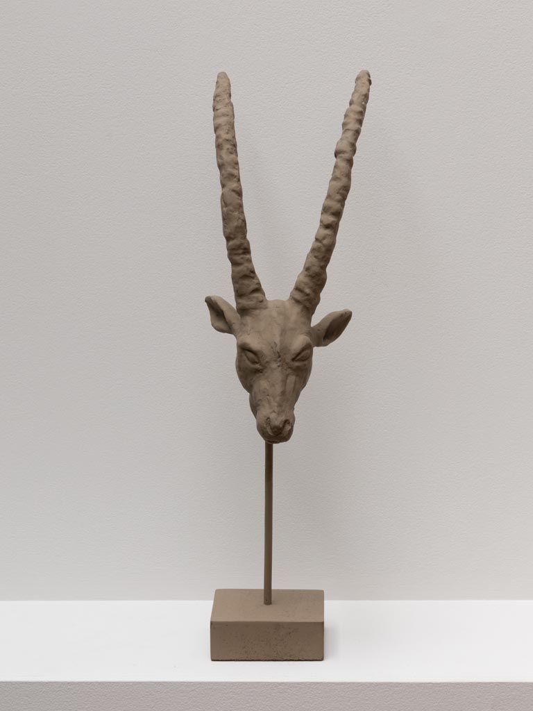 Gazelle head black patina - 4