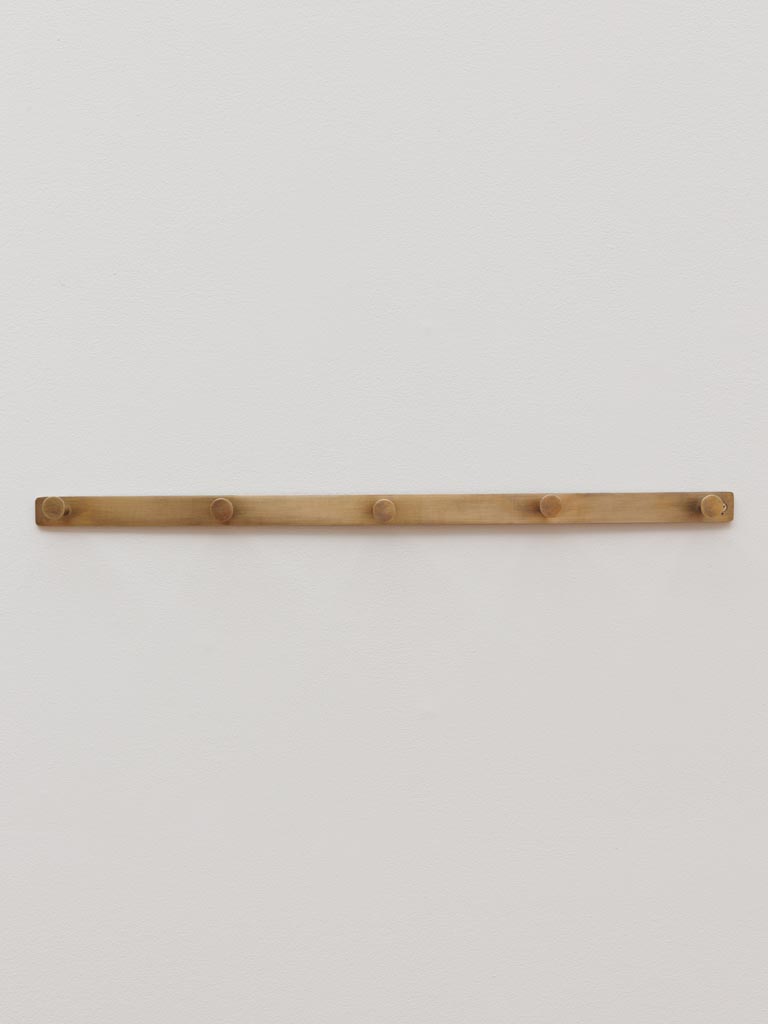 Wall coat rack 5 hooks Moderna - 1