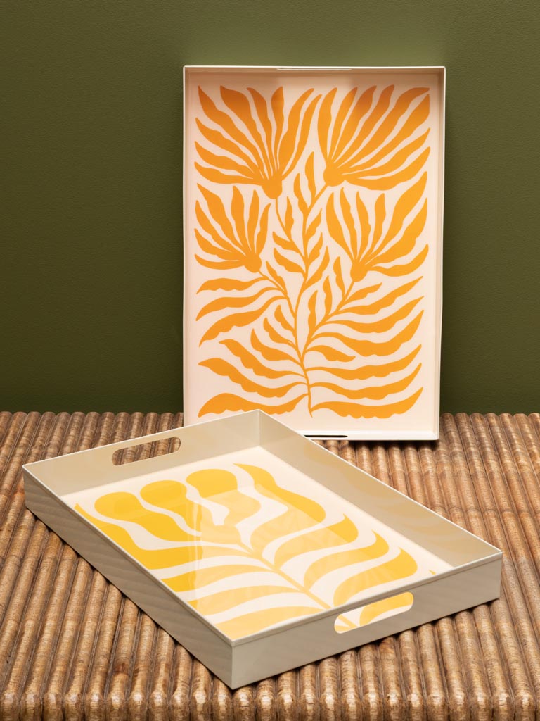 S/2 plateaux plantes soleil - 1