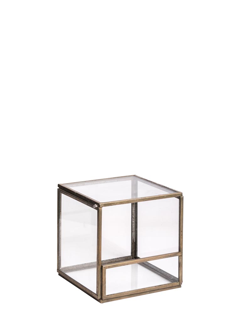 Small square terrarium11cm - 2