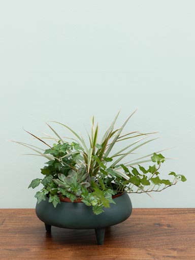Medium green flower pot on small tripod