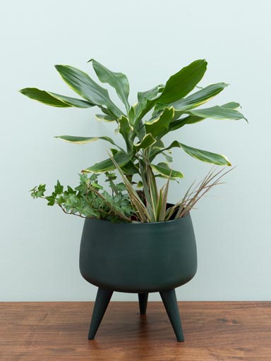 Large green flower pot on tripod
