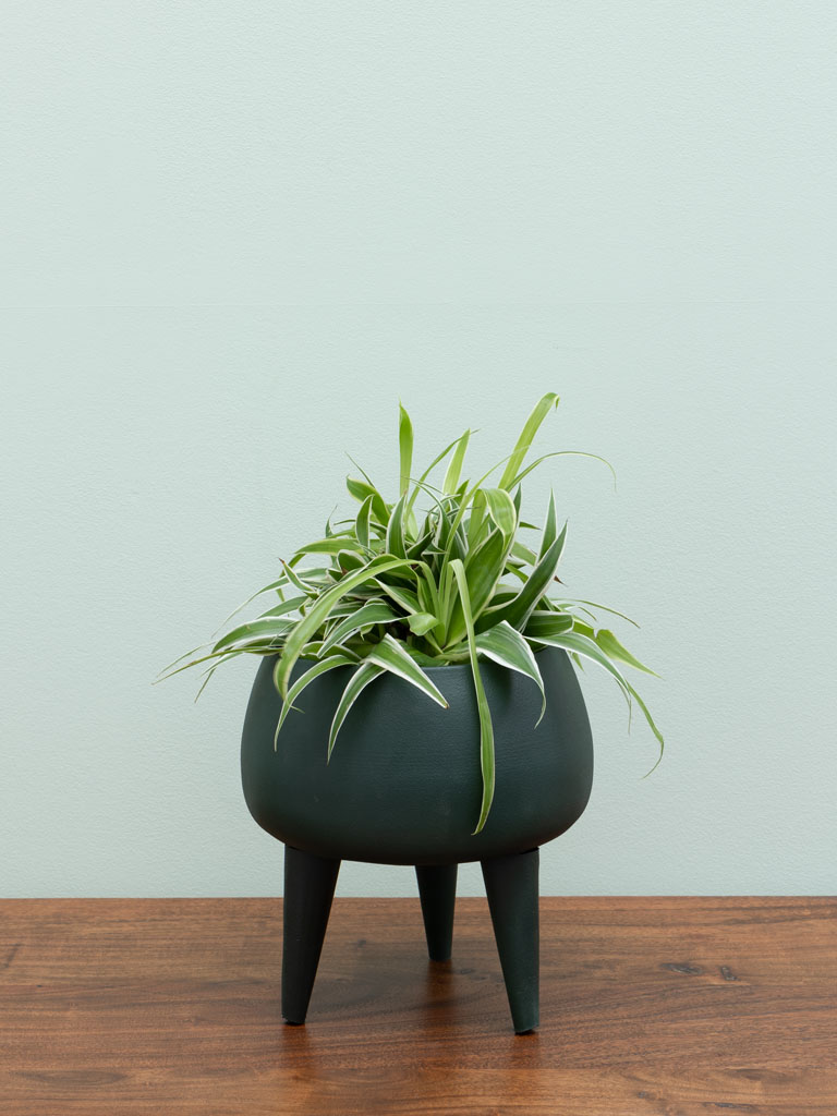 Small green flower pot on tripod - 1