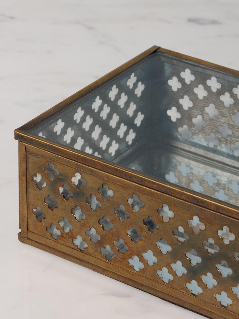 Glass box Opulence - 4