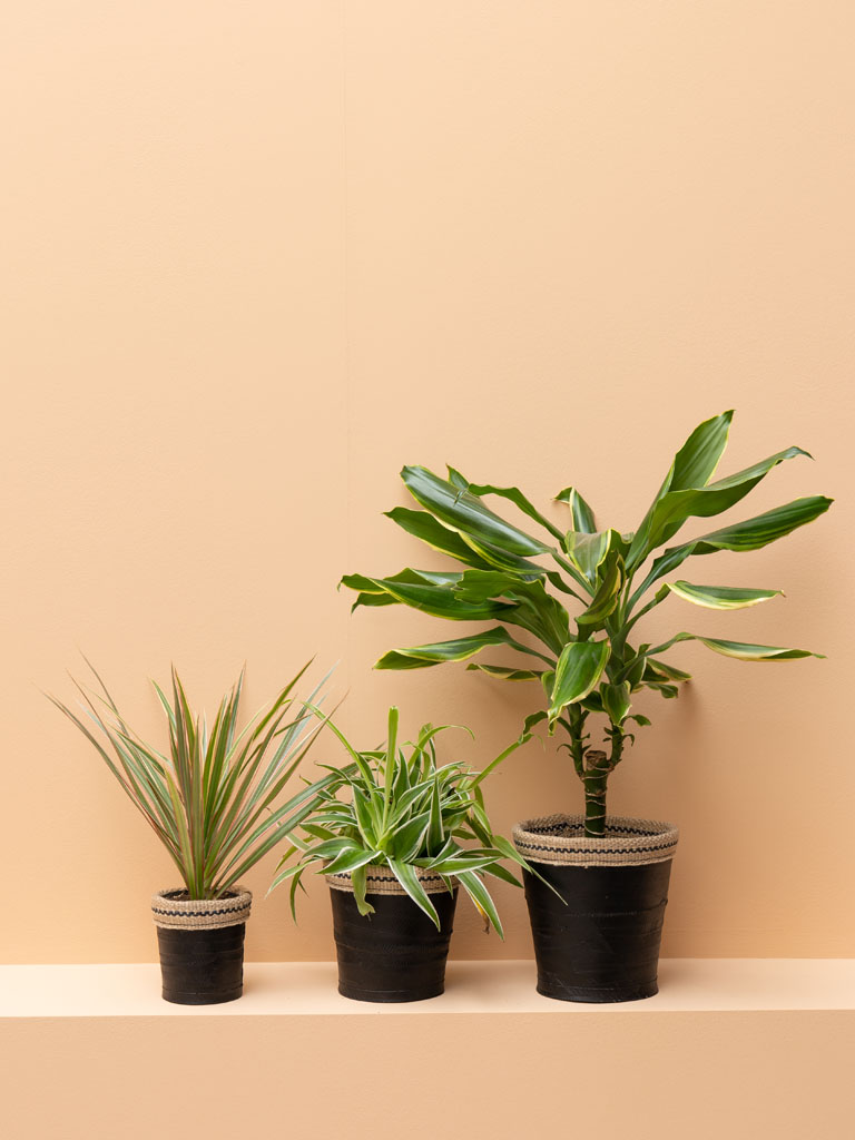 S/3 flower pots in recycled tires - 1