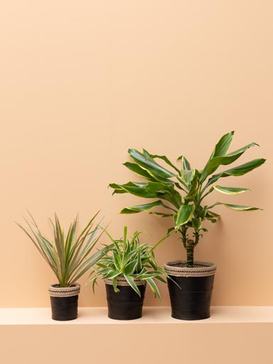 S/3 flower pots in recycled tires