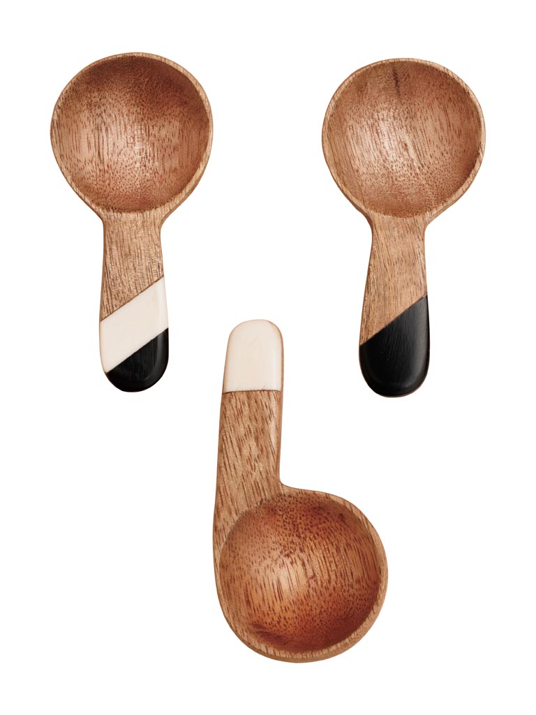 S/3 small spoon Niger - 2