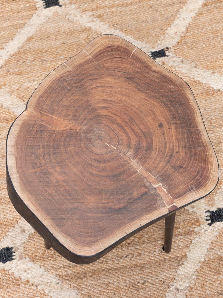 Side table Hood acacia with iron feet - 5