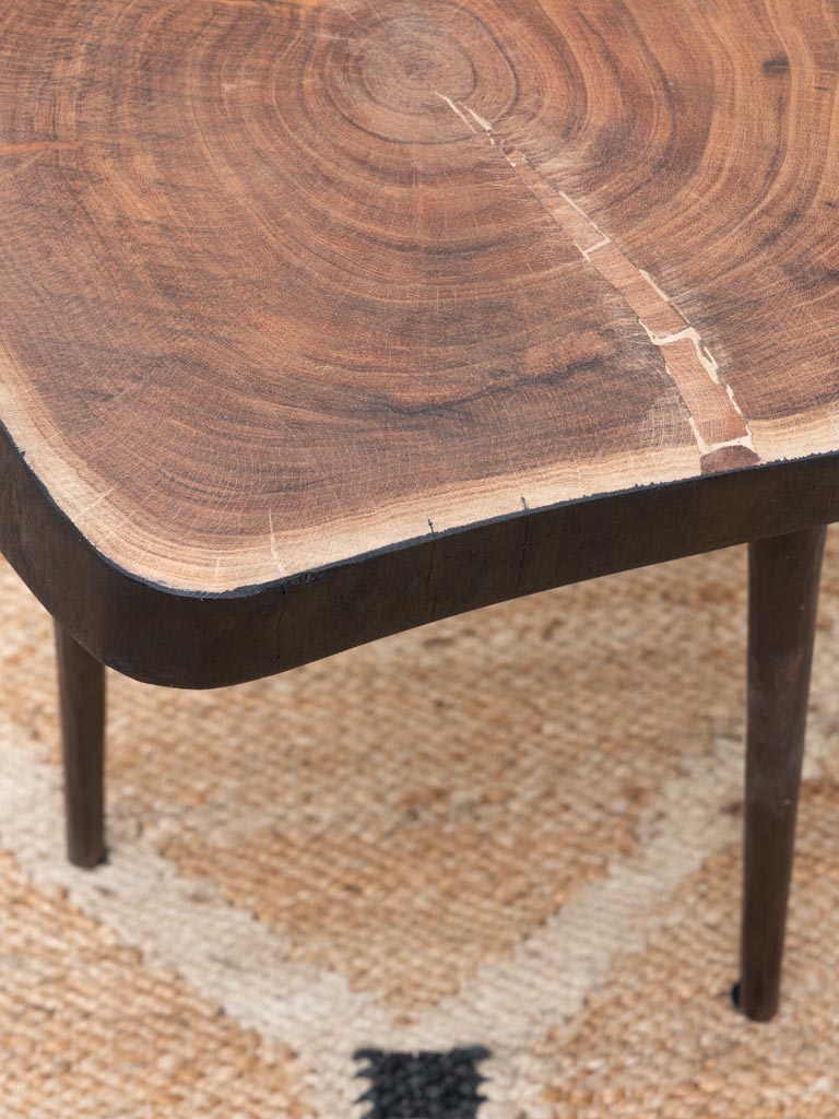 Side table Hood acacia with iron feet - 4