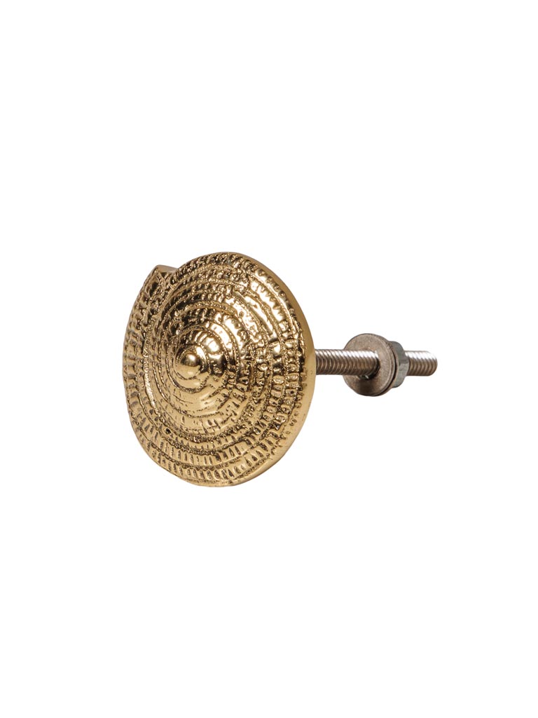 Knob Ammonite - 2