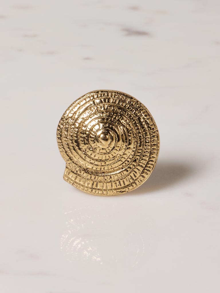 Knob Ammonite - 3