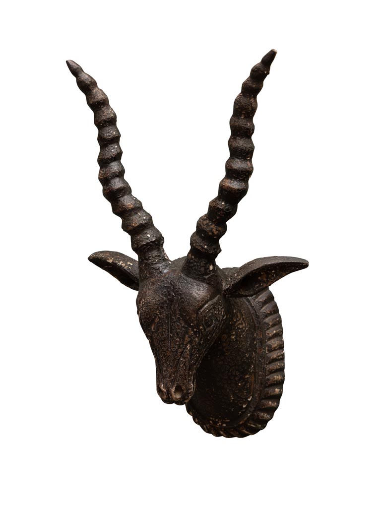 Tête d'antilope patine noire - 2