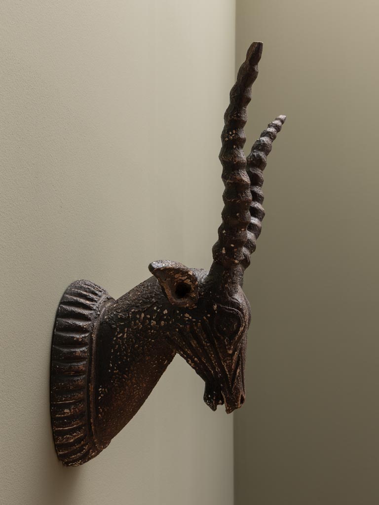 Black antelope wall head - 4