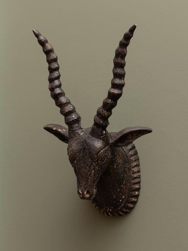 Black antelope wall head