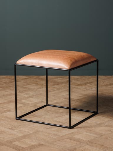 Stool Guardian