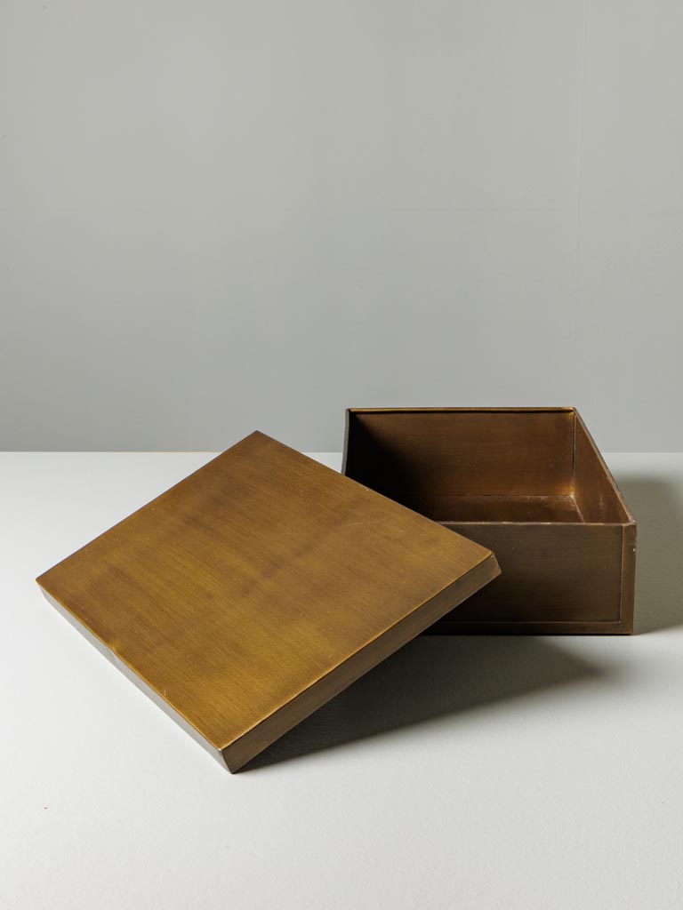 Large rectangular box bronze patina - 3
