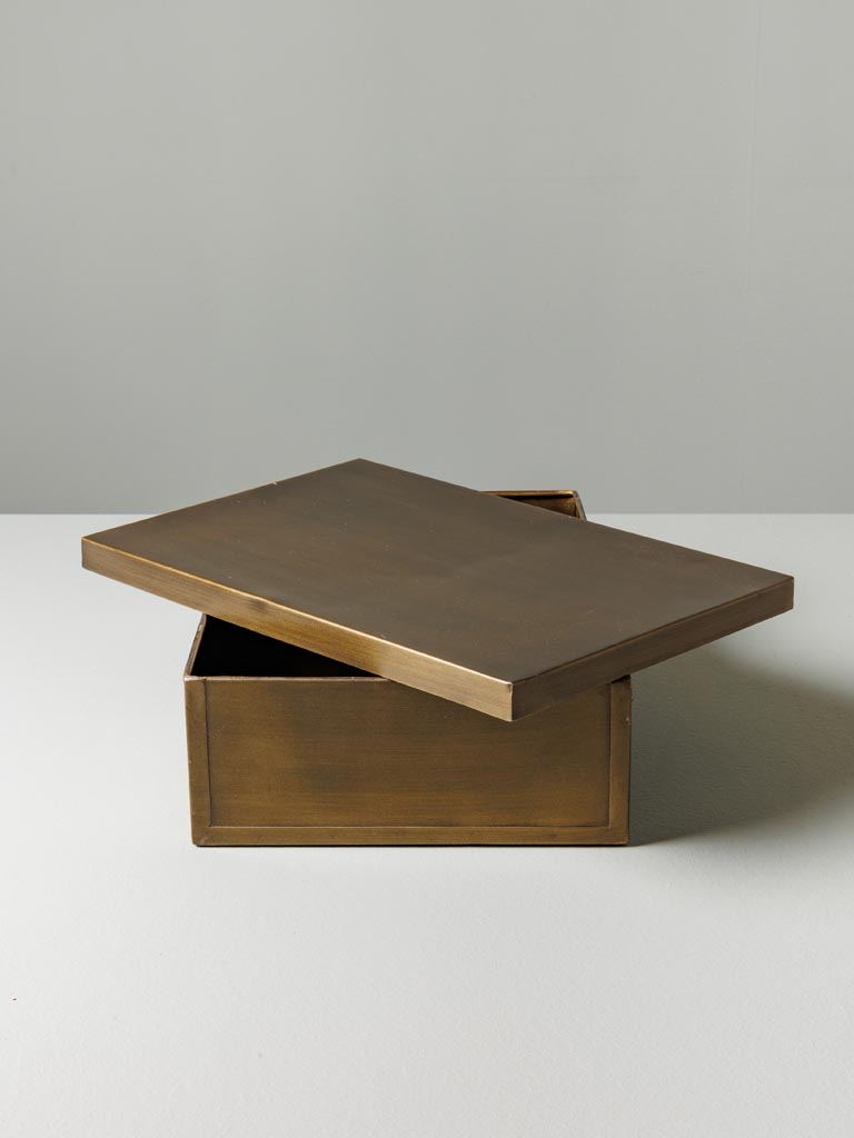 Large rectangular box bronze patina - 5