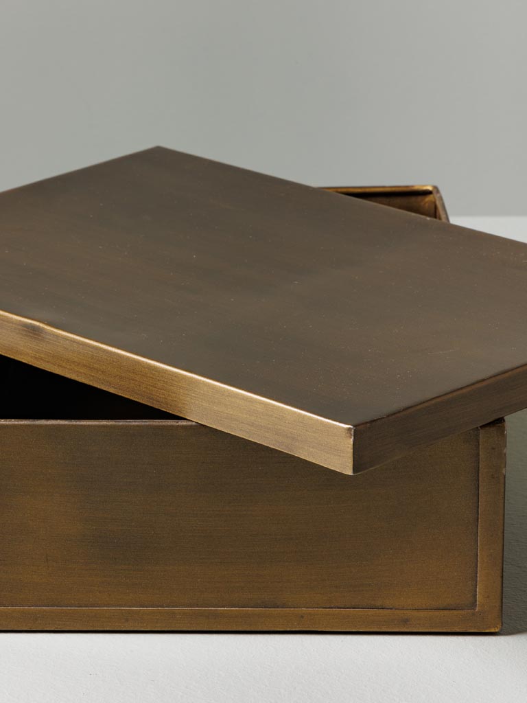 Large rectangular box bronze patina - 4